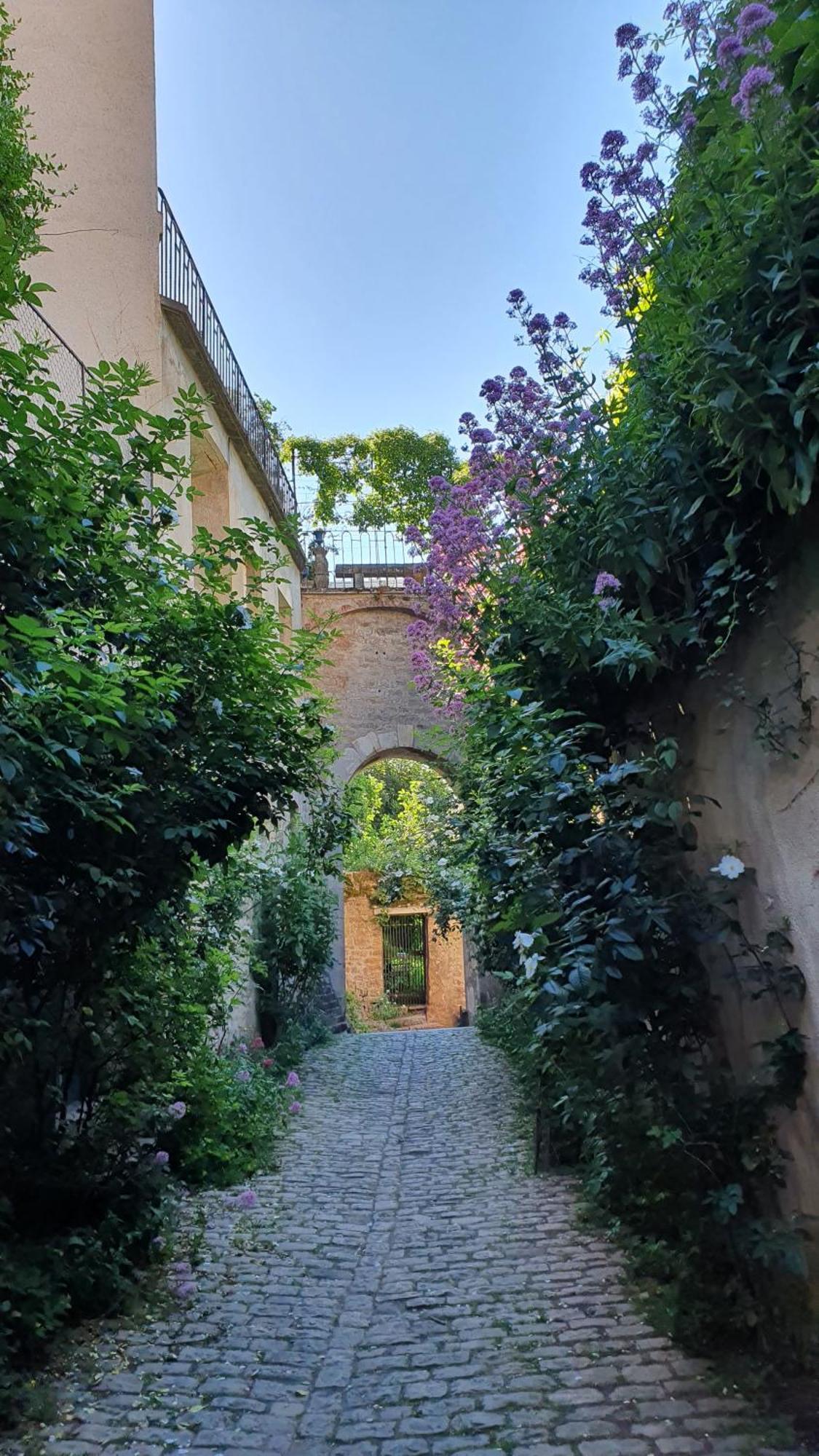 Etape Du Pont Pinard Βίλα Semur-en-Auxois Εξωτερικό φωτογραφία
