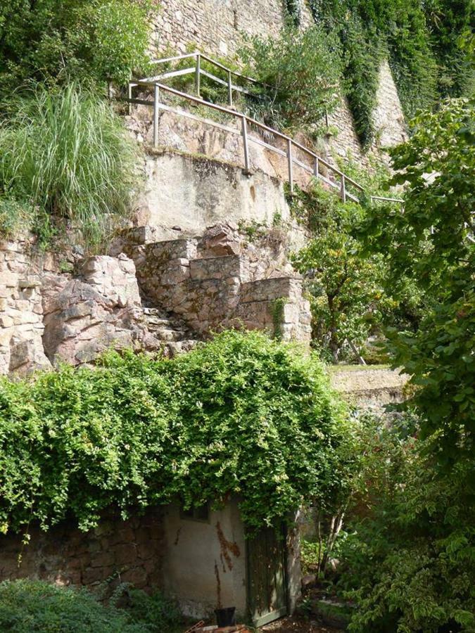 Etape Du Pont Pinard Βίλα Semur-en-Auxois Εξωτερικό φωτογραφία